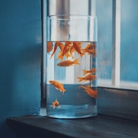 Avatar Vũ Thị Diệu